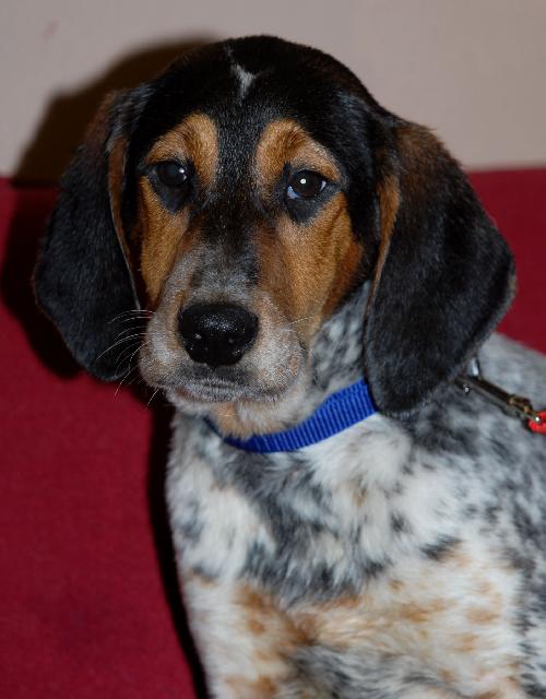 Tucker