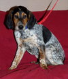 Tucker