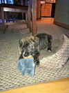 Lola Foster Needed