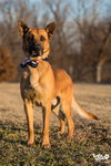 Duke