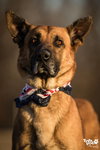Duke