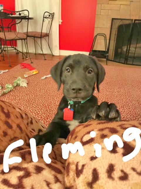 Fleming
