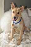 Jones