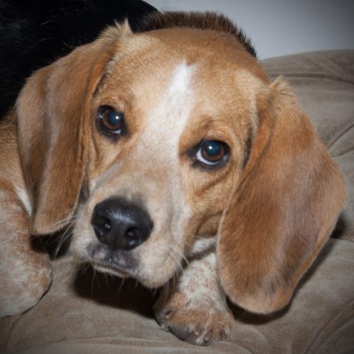 Duncan
