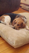 Duncan