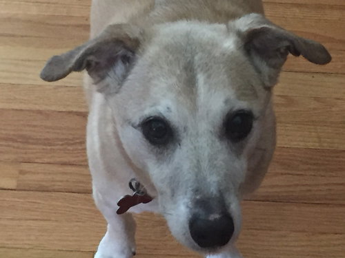 Buster