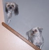 Bubbles & Bubba