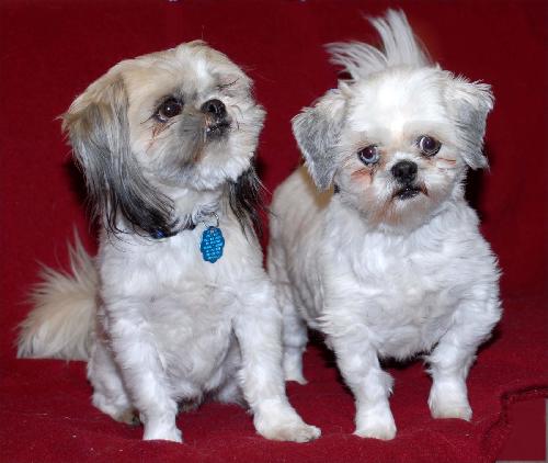 Bubbles & Bubba