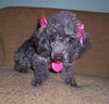 Peggy