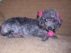 Peggy