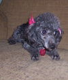 Peggy