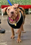 RubySue