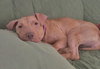 RubySue
