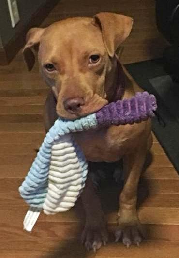 RubySue