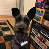 Missy Senior