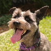 Missy Senior