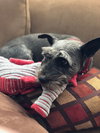 Missy Senior