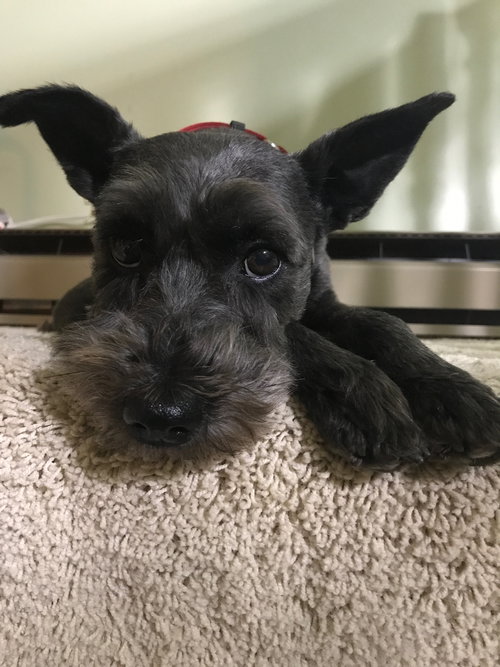 Missy Senior