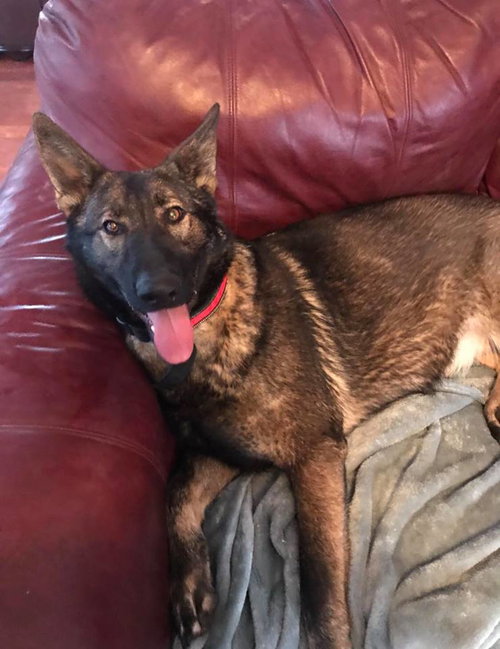 Cheyenne