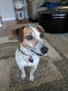 Tucker