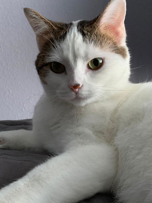 Jane