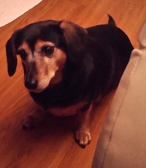 Missie
