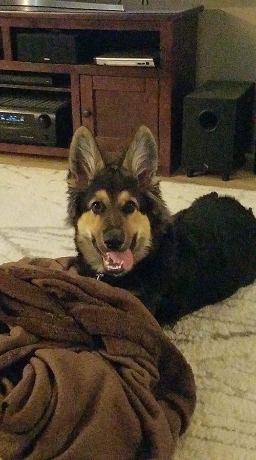 Tyson