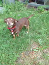 Bronson