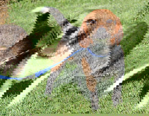 Porter Wag-ner