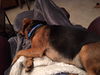 Fredrick