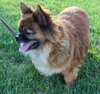 Bosley