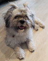 Bella