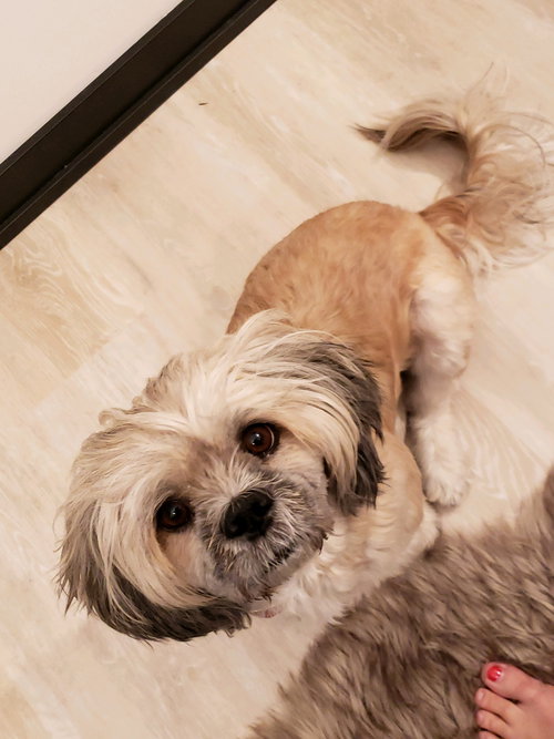 Bella