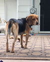 Beasley