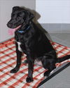 Onyx