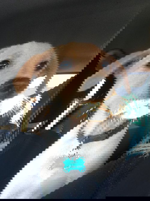 Slayton -Puppy