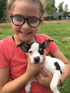 Strelka -Puppy