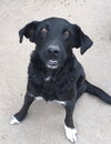 Joelle -aka Bouncy Girl!