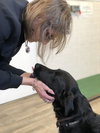 Joelle -aka Bouncy Girl!