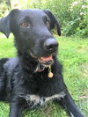 Joelle -aka Bouncy Girl!