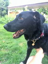 Joelle -aka Bouncy Girl!