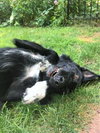 Joelle -aka Bouncy Girl!