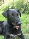 Joelle -aka Bouncy Girl!