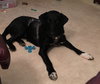 Joelle -aka Bouncy Girl!