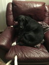 Joelle -aka Bouncy Girl!