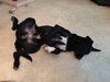 Joelle -aka Bouncy Girl!