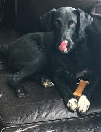 Joelle -aka Bouncy Girl!