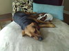 Rooto