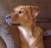 Roxy