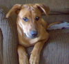 Roxy
